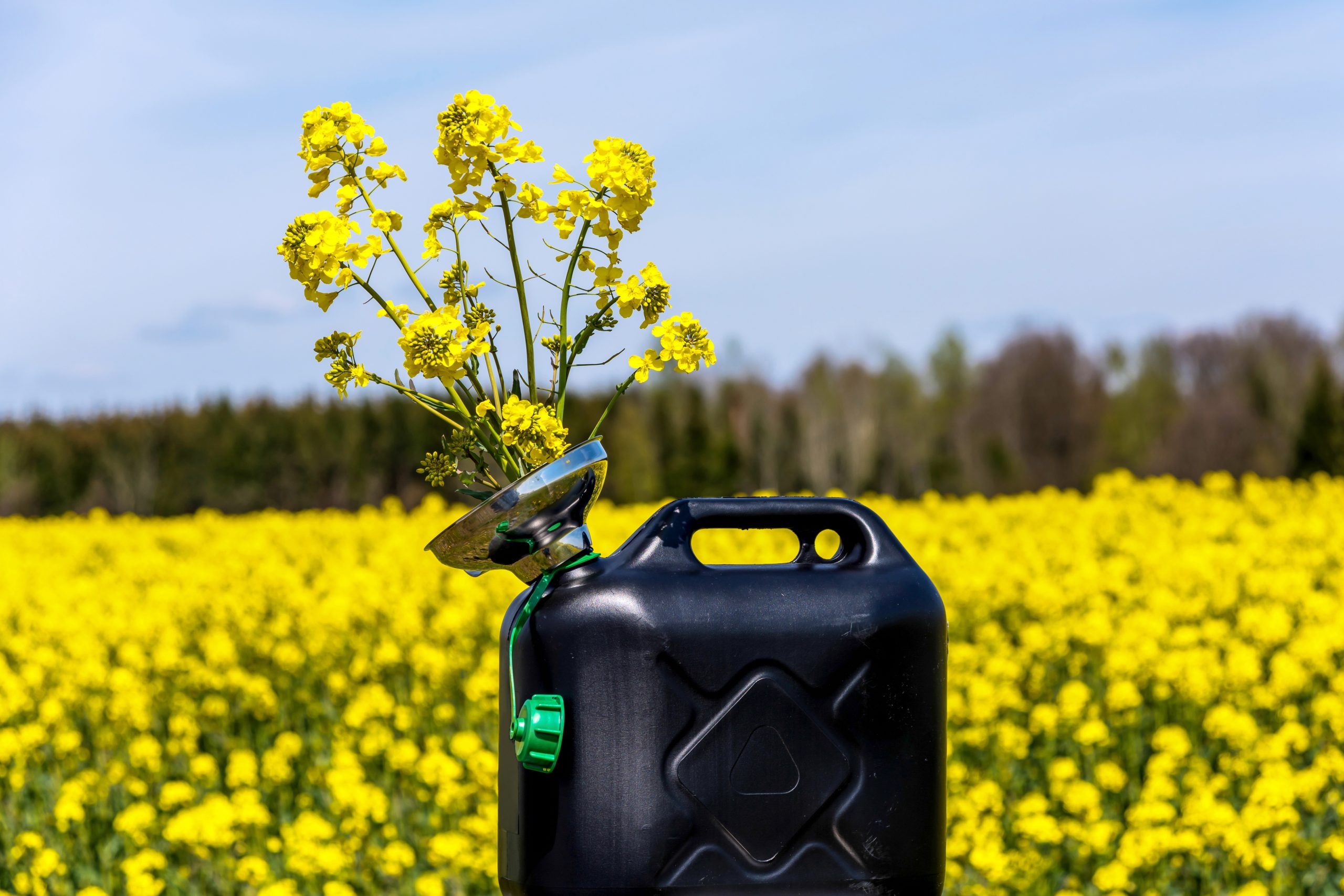EBB publishes position on benefits of first-generation biodiesel